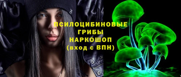 сатива Белоозёрский