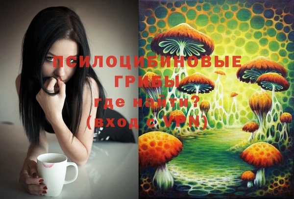 сатива Белоозёрский
