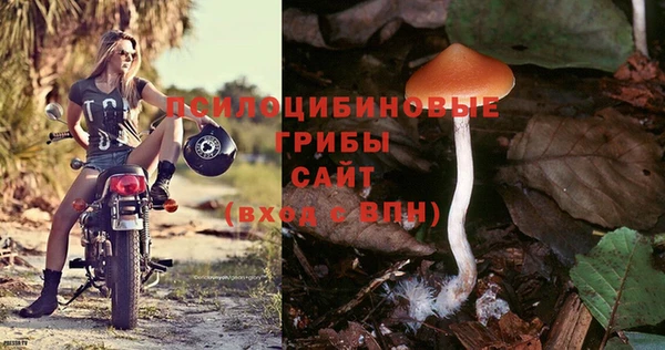 спиды Белокуриха