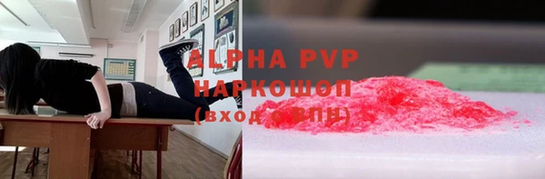 спиды Белокуриха