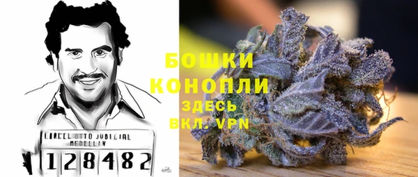 сатива Белоозёрский