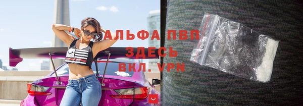 спиды Белокуриха