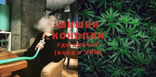 сатива Белоозёрский